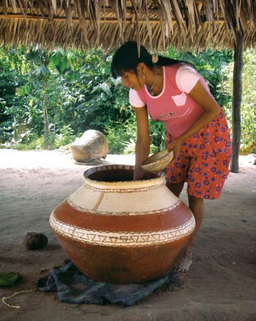 Fermentación del masato