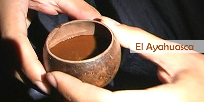 el Ayahuasca
